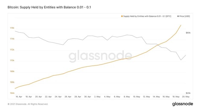 Tỷ lệ nắm giữ Bitcoin trong ví của cá con đã tăng lên đáng kể.