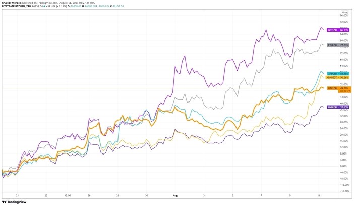 Biểu đồ hiệu suất của Bitcoin so với altcoin. Nguồn: TradingView