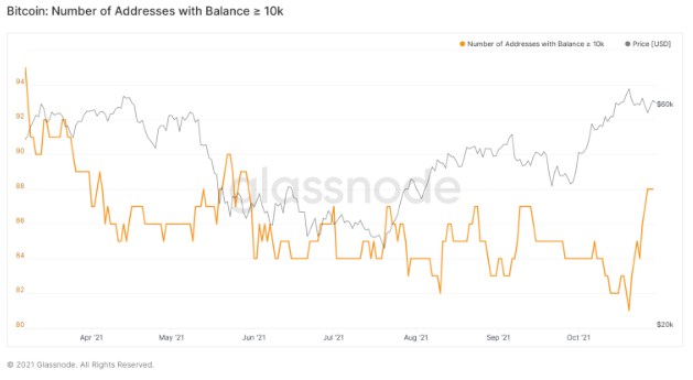 Địa chỉ ví có hơn 10k BTC | Nguồn: Glassnode