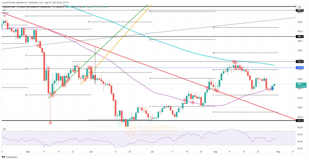 Biểu đồ ngày của BNB/USD