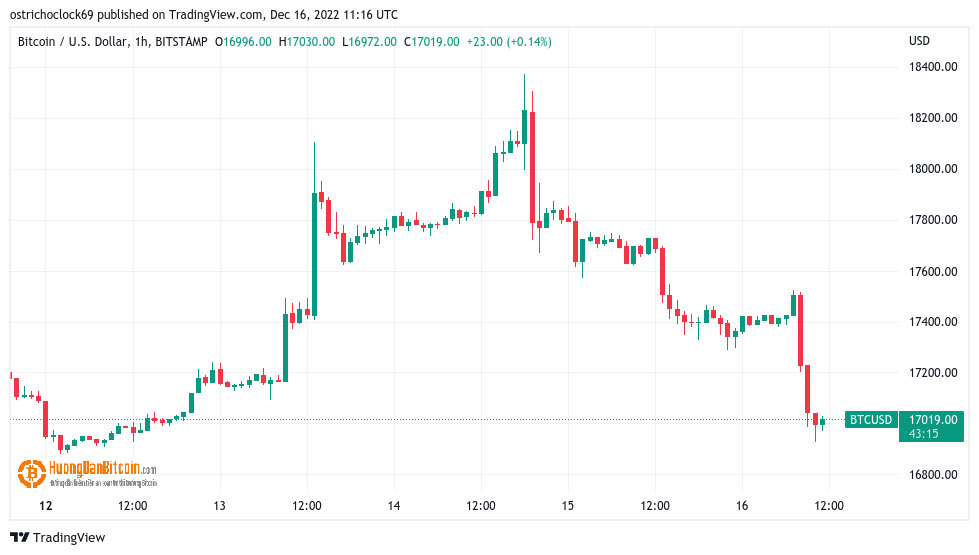 Biểu đồ nến 1 giờ BTC/USD