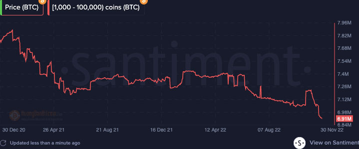 Hoạt động của cá voi Bitcoin - các nhà đầu tư nắm giữ từ 1,000 đến 100,000 mã BTC